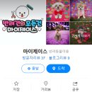 마이제이스 이미지