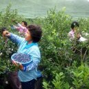 이기영농장 이미지