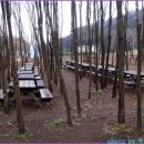 일영농장 이미지