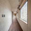 헤윰,소 이미지