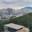 단디클린 네이버블로그