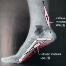 기찬마디의원 | 가운데 아플때 마사지 저는 효과 없어서 바로 기찬마디의원 다녀왔어요 [대구 서구 평리동 정형외과]