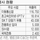 (주식) SK, 통신계열사 하나로 합친다 이미지