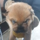 정남119안전센터-1 이미지