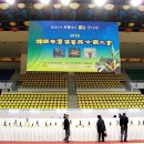 한국춘난판매