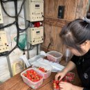 큰뜰농장 이미지