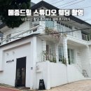 다움청과 | 메종드힐 스튜디오에서 웨딩촬영부터 셀렉까지 솔직후기