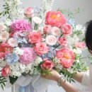 플라라레 이미지