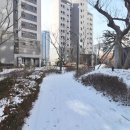 새마을부동산중개사사무소 이미지