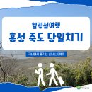 서부면 죽도마을회관 | 힐링 섬 여행> 홍성 죽도 당일치기