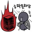 마브로 이미지