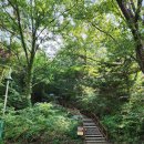 마이산 산행 후기 - 자연의 신비를 만나다