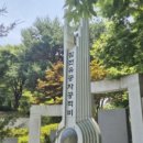 용인중앙공원_M 이미지