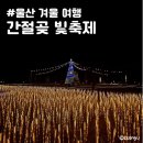 울산 겨울 여행 울산 간절곶 빛축제 빛으로 새긴 울주 정크아트 휴대폰 무료 충전 주차장 후기