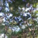 시례농장 이미지