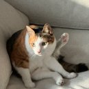 청용광고 | 양주 의정부 산후도우미 고민 중이라면 꼭 보세요 (정부지원금 정보까지)