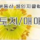 써브 공인중개사사무소 이미지