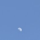 호세야오리바베큐 이미지