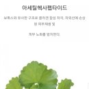 에이엘오