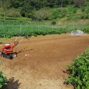 부춘농장 이미지