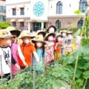 대건유치원 이미지