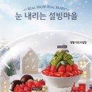 설빙서울중앙대점
