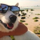 기봉이 농장 이미지