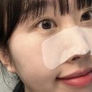 화수육계 이미지