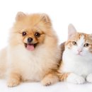 통일동물병원 이미지