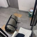 오프니스 이미지