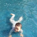 용현 놀이터 이미지