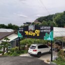 가시와다육이 이미지