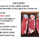 프라임정육점 이미지
