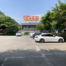 금남멧돼지 이미지