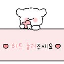 스시훈 이미지