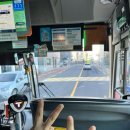 바언제주(바람의언덕) | [제주] 겨울 올레길 여행 12일차 - 마무리 / 11박 12일 여행경비, 숙소 정리