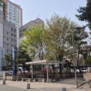 부평구보건소 앞 인도(부흥로 291) | 부평 보건소에서 B형간염 예방 접종 맞은 후기 / 접종 비용 / 임신 준비