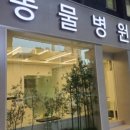 아는수의사 동물병원 이미지