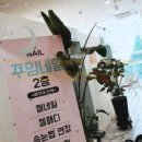 꾸밈네일에서 나만의 스타일을 찾다: 동탄 네일 아트 체험기