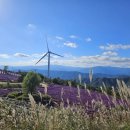 만평식육식당 이미지