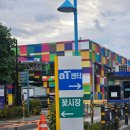 양재시장 | 양재 데이트 코스 양재 갈만한 곳 추천 양재 꽃 시장 방문 후기, 꽃 가격