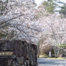 도깨비마을 동상 앞 이미지