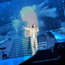 대성장식 이미지