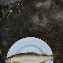 은어펜션 이미지