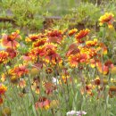 곡성-105 이미지