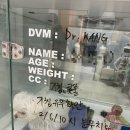 메이동물병원 이미지