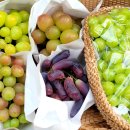 태희농장 이미지