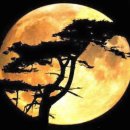 나눔과 기쁨 아산지부 이미지