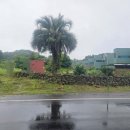 성읍1리마을회관 이미지