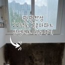 영남바이오 | 대구탄성 장기영남네오빌파크아파트 올리모델링...곰팡이 탄성으로 제거!바이오세라믹 탄성코트 시공 후기